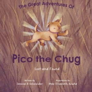 The Great Adventures of Pico the Chug: Lost and Found