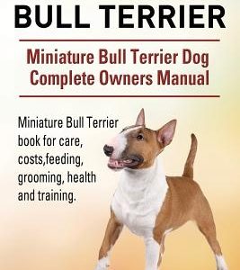 Miniature Bull Terrier. Miniature Bull Terrier Dog Complete Owners Manual. Miniature Bull Terrier book for care, costs, feeding, grooming, health and