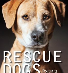 Rescue Dogs: Portraits and Stories