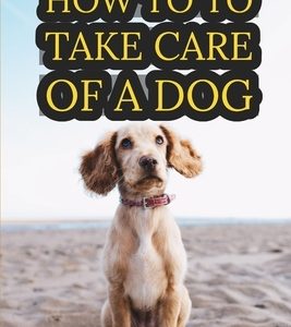 Pets: How to to Take Care of a Dog: A New Owner's Guide, Everything You Need to Be Prepared for Your Dog