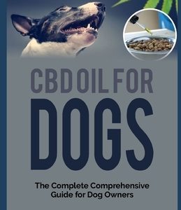 CBD Oil for Dogs: The Complete Comprehensive Guide for Dog Owners