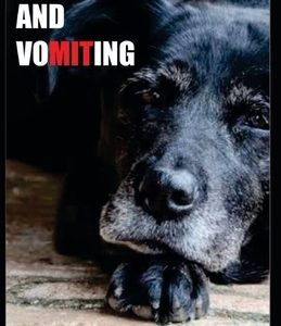 Dog Nausea and Vomiting: Everything You Need To Know About Dog Nausea and Vomiting