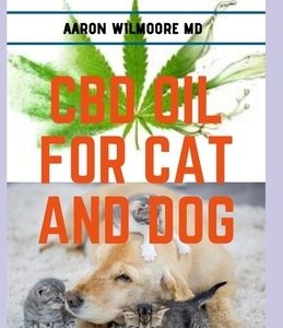 CBD Oil for Cats and Dogs: All you need to know about cbd oil in treating various ailments in cats and dogs