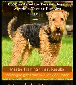 Airedale Terrier Training Book for Airedale Terrier Dogs & Airedale Terrier Puppies By D!G THIS DOG Training: Master Training * Fast Results, Training