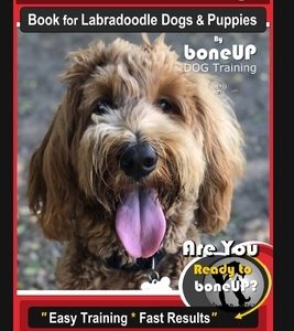 Labradoodle Training Book for Labradoodle Dogs & Puppies By BoneUP DOG Training, Are You Ready to Bone Up? Easy Training * Fast Results, Labradoodle B