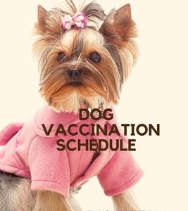 Dog Vaccination Schedule: Brilliant Dog Vaccination Schedule book, useful Vaccination Reminder, Vaccination Booklet, Vaccine Record Book For Dog