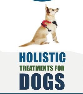 Holistic Treatments for Dogs: Top Twenty Alternative Diets and Holistic Treatments for Your Canine