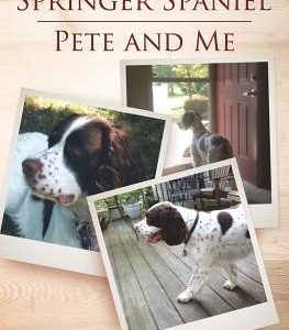 Living with a Springer Spaniel: Pete and Me