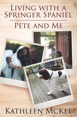 Living with a Springer Spaniel: Pete and Me
