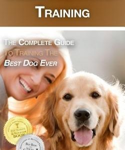 Golden Retriever Training: The Complete Guide to Training the Best Dog Ever