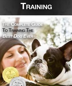 French Bulldog Training: The Complete Guide to Training the Best Dog Ever