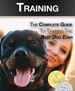 Rottweiler Training: The Complete Guide To Training the Best Dog Ever