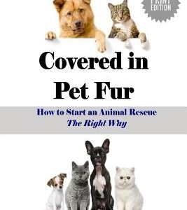 Covered in Pet Fur: How to Start an Animal Rescue - Large Print Edition