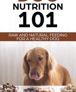 Dog Nutrition 101: Raw And Natural Feeding for a Healthy Dog