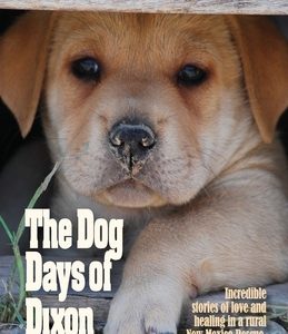 The Dog Days of Dixon: Incredible stories of love and healing in a rural New Mexico Rescue