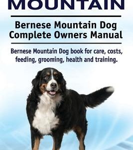 Bernese Mountain. Bernese Mountain Dog Complete Owners Manual. Bernese Mountain Dog book for care, costs, feeding, grooming, health and training.