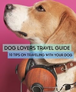 Dog Lovers Travel Guide: 10 Tips On Traveling With Your Dog