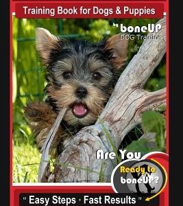 Yorkshire Terrier Training Book for Dogs & Puppies by Boneup Dog Training: Are You Ready to Bone Up? Easy Steps * Fast Results Yorkshire Terrier Train