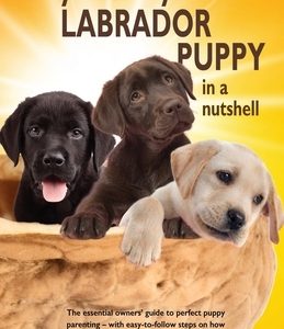 You and Your Labrador Puppy in a Nutshell: The essential owners' guide to perfect puppy parenting - with easy-to-follow steps on how to choose and car
