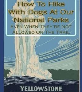 How To Hike With Dogs At Our National Parks - Even When They're Not Allowed On The Trail