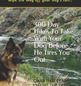 300 Day Hikes To Take With Your Dog Before He Tires You Out: Trails where you won't be able to wipe the wag off your dog's tail