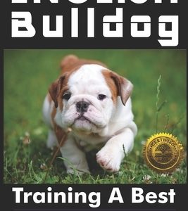 English Bulldog: Training a Best Friend for Life