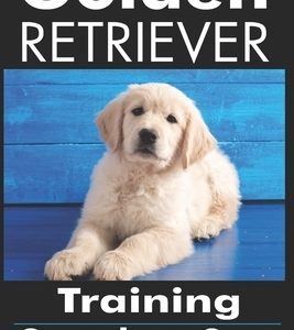 Golden Retriever Training: Complete Care