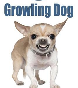 Growling Dog: How to Get Your Dog to Stop Growling?
