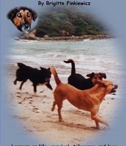 A Wise Dog Named Jake: Lessons on life, survival, tolerance and love from an extraordinary stray dog