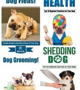 Dog Fleas! & Puppy Health! & Dog Grooming! & Shedding Dog?