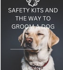 Safety Kits and the Way to Groom a Dog