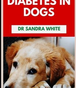 Diabetes In Dogs: Symptoms, Causes, Diagnosis, Treatments