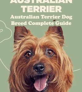 Australian Terrier: Australian Terrier Dog Breed Complete Guide: What You Need To Know About Australian Terrier