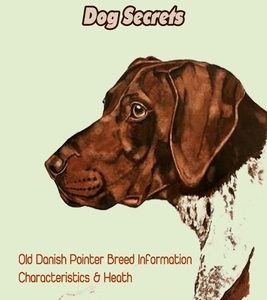 Old Danish Pointer Dog Secrets: Old Danish Pointer Breed Information, Characteristics & Heath: Reference Book about Old Danish Pointer Dog