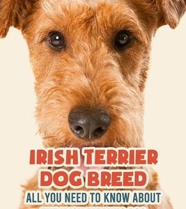 Irish Terrier Dog Breed: All You Need to Know about The Irish Farming Dog: Facts about The Rollicking Terriers of Ireland