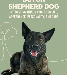 Dutch Shepherd Dog: Interesting Things about Dog Life, Appearance, Personality, And Care: Reference Book About Dutch Shepherd Dog