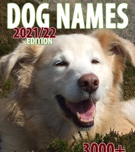 Bob's Book of Dog Names