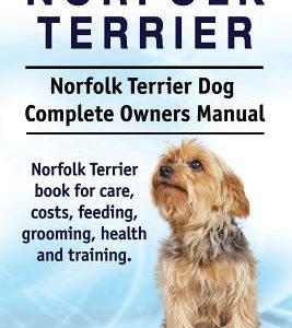 Norfolk Terrier. Norfolk Terrier Dog Complete Owners Manual. Norfolk Terrier book for care, costs, feeding, grooming, health and training.
