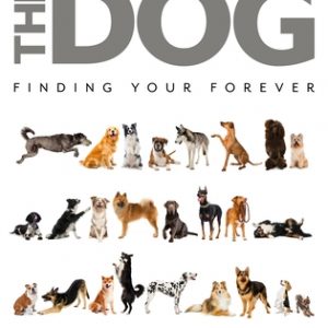 The Dog: Finding Your Forever