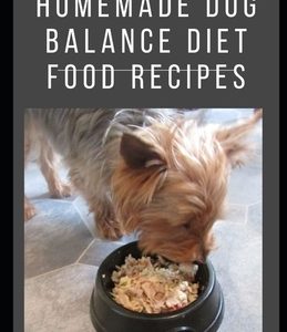 Homemade Dog Balance Diet Food Recipes: Homemade dog Balance Diet Quick and Easy Treat Recipes: Includes vegetarian, gluten-free health and nutritiona