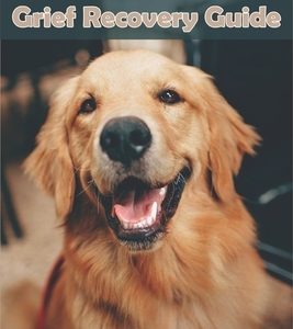 Pet Loss And Grief Books_ Grief Recovery Guide: Books On Grieving Pet Loss