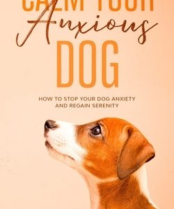 Calm Your Anxious Dog: How To Stop Your Dog Anxiety And Regain Serenity