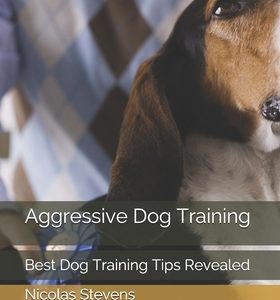 Aggressive Dog Training: Best Dog Training Tips Revealed