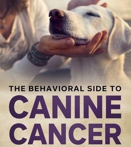 The Behavioral Side of Canine Cancer: A Dog Lover's Guidebook