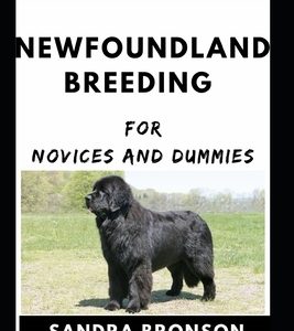 Newfoundland Breeding For Novices And Dummies