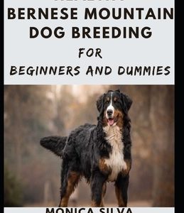 Healthy Bernese Mountain Dog breeding For beginners and dummies