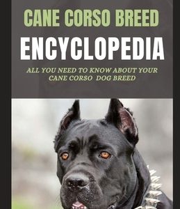 Cane Corso Encyclopedia: All You Need To Know About Your Cane Corso Dog Breed