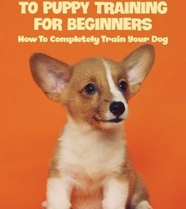 The Detailed Guide To Puppy Training For Beginners: How To Completely Train Your Dog: Puppy Leash Training