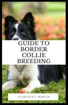 Guide to Border Collie Breeding: Border Collie was selectively bred for its skill in herding sheep, which includes its ability to use its eye to intim