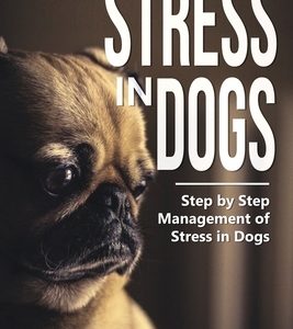 Stress in Dogs: Step by Step Management of Stress in Dogs. Proven Ways to Relieve Stress in Dogs. How to Calm a Stressed Dog. Recognis